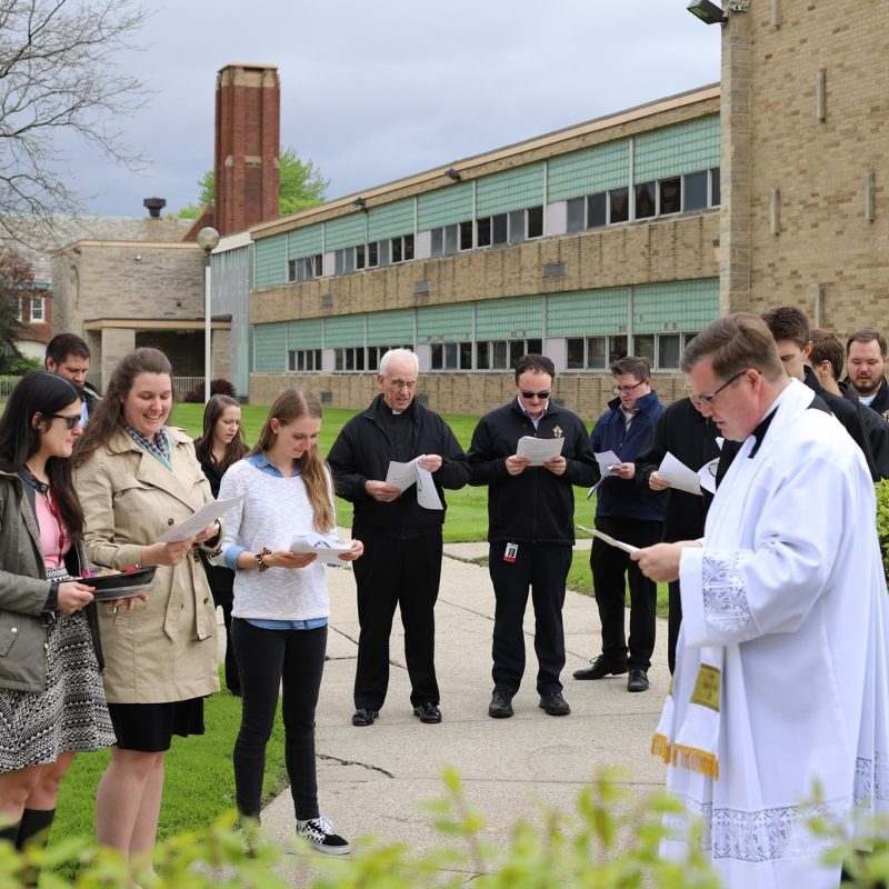 60137796 2445302655515001 4829564516738007040 o