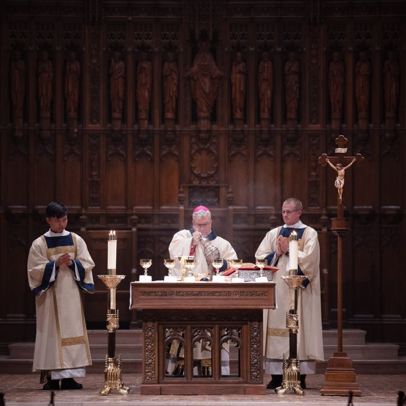 Acolyte Lector 14 2