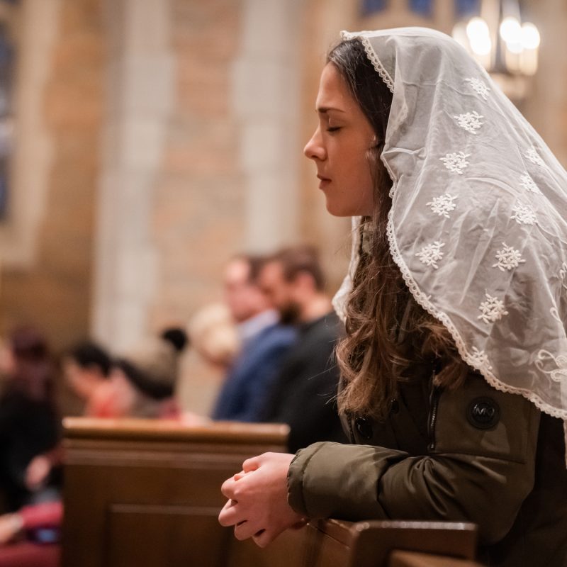 DSC02033 2254x1500 a7b3d59