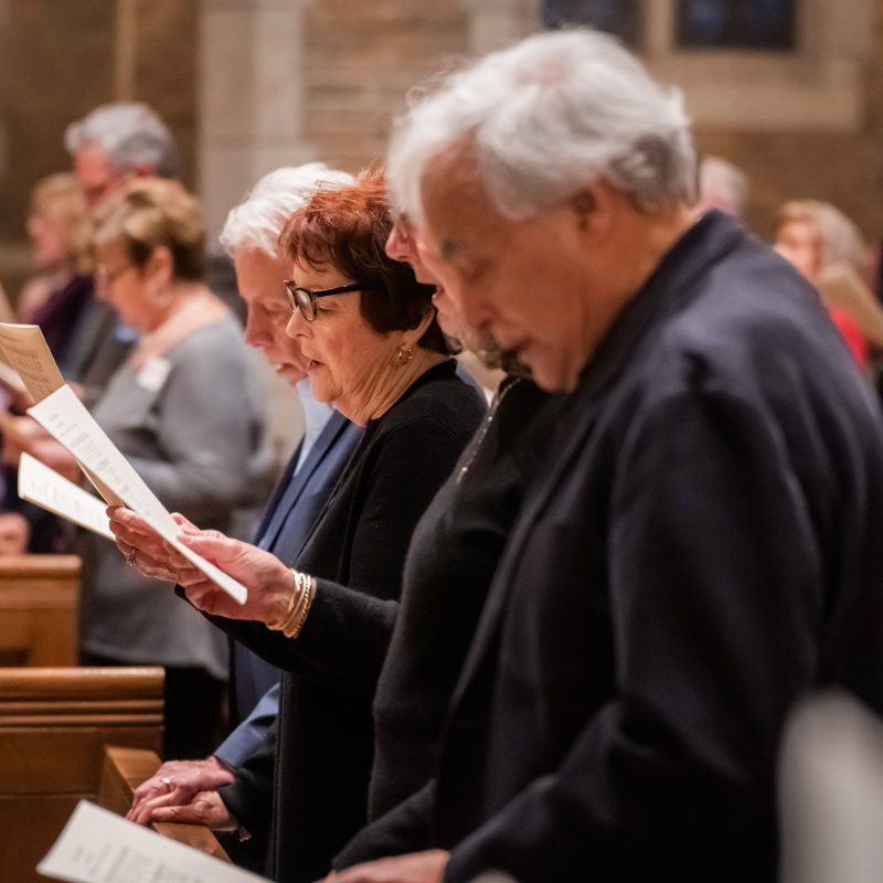 DSC02050 2254x1500 a7b3d59