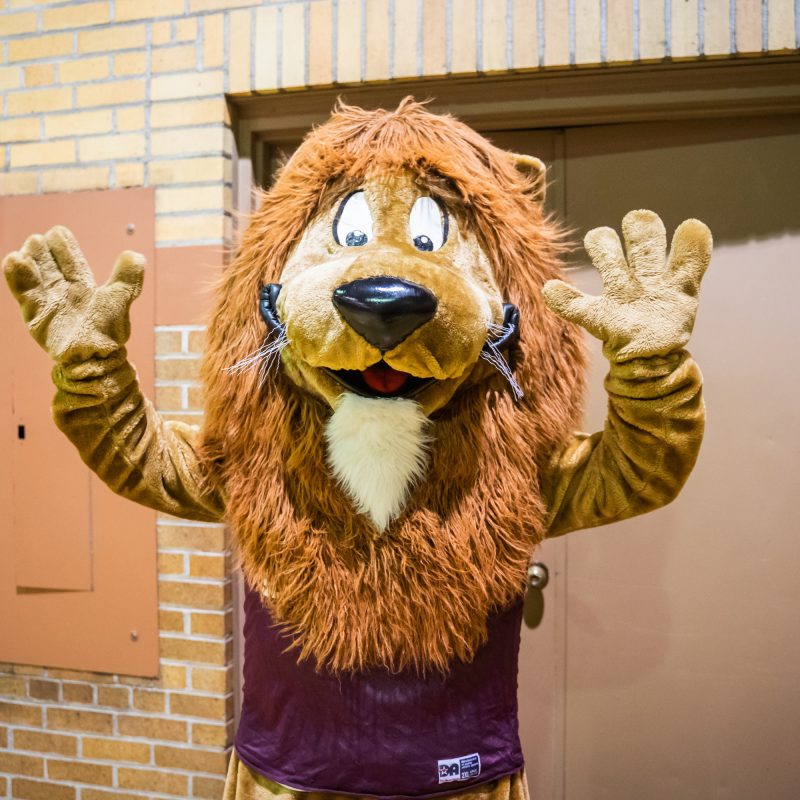 DSC02974 3000x2000 6948f37