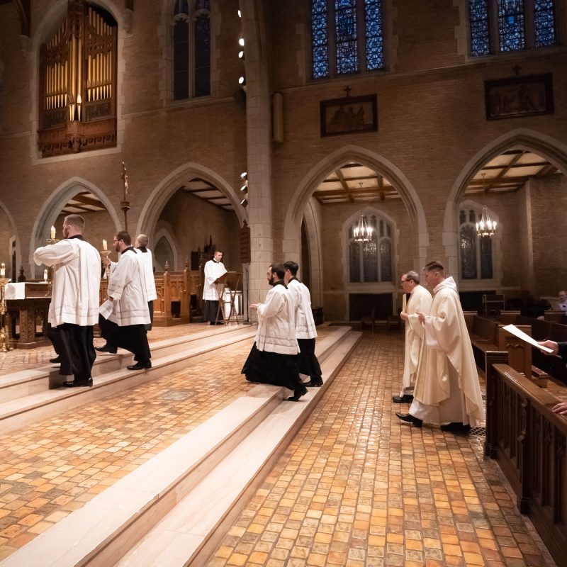 DSC04142 2250x1500 3131075