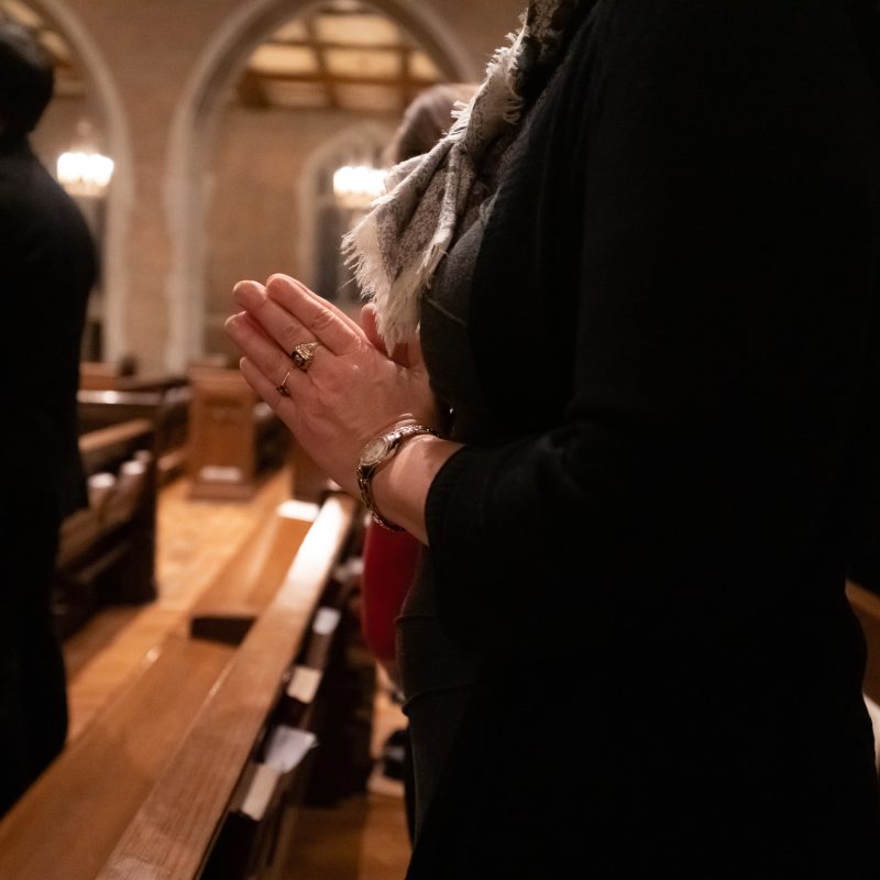 DSC04145 2250x1500 3131075